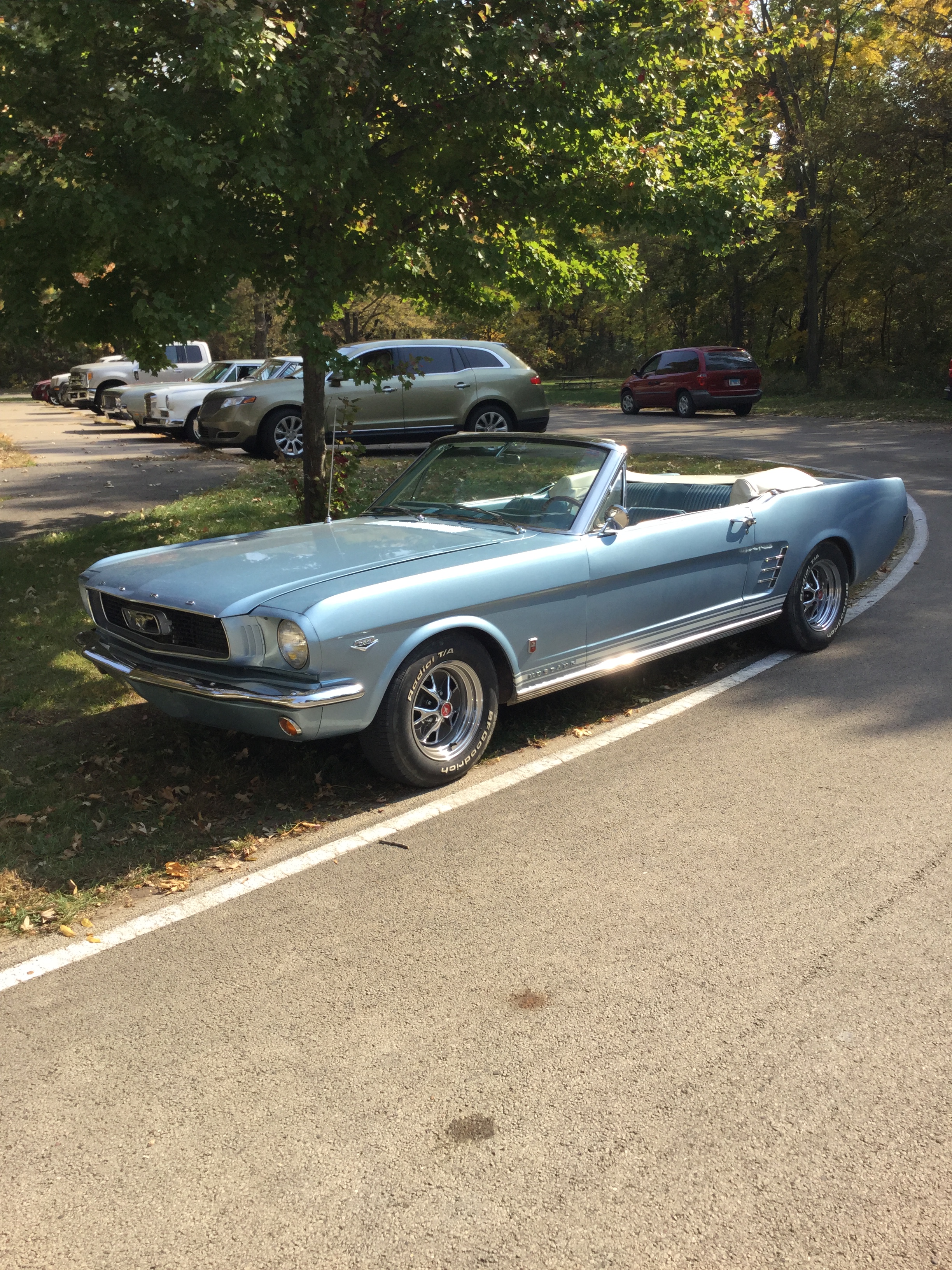 1966-Mustang